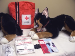 dog_edit Dog First Aid - Red Cross Program